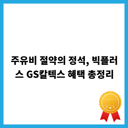 주유비 절약의 정석, 빅플러스 GS칼텍스 혜택 총정리